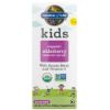 Picture of Kids Organic Elderberry Immune Syrup 3.9 oz. by GoL         